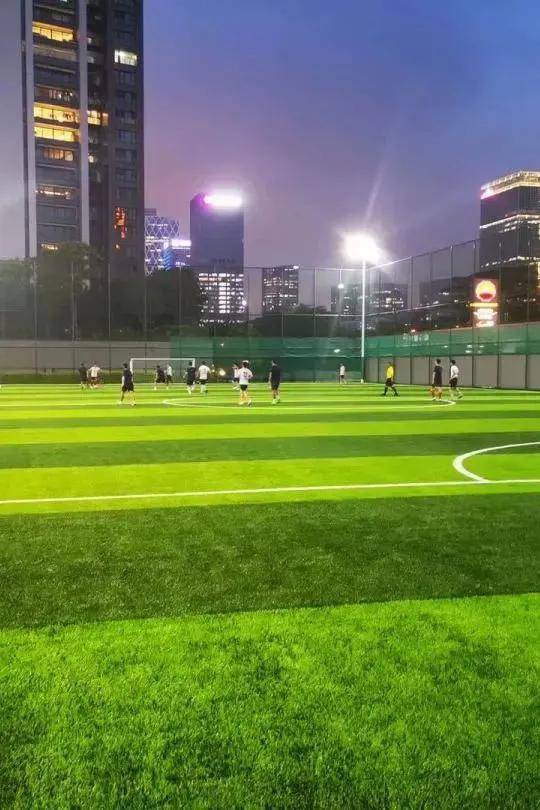 817f466d173a4857ac9717d643716319 817f466d173a4857ac9717d643716319